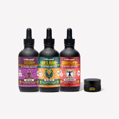 Three Lifecykel mushroom extracts bottles with colorful labels and a small black container on a white background
