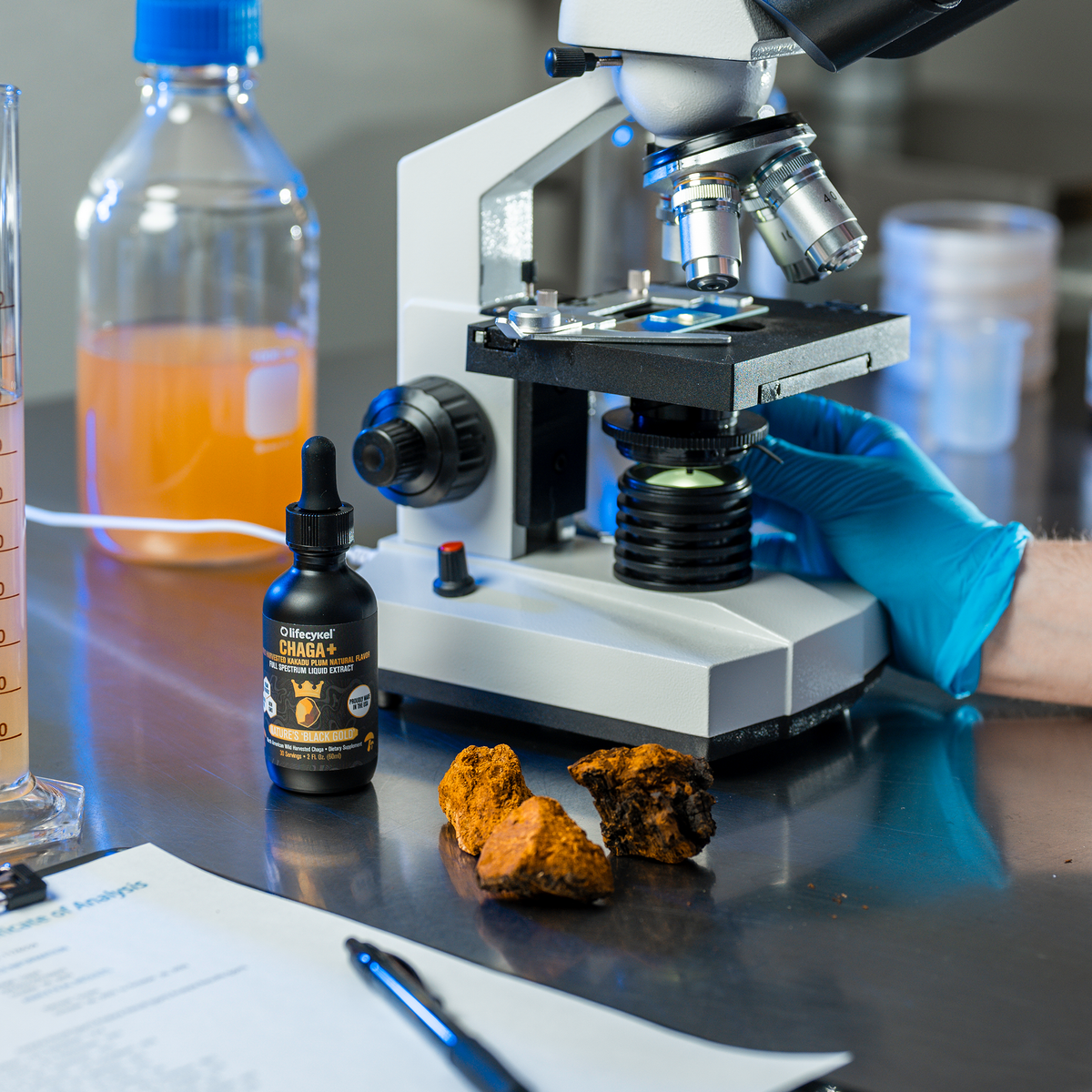 The Iodine Starch Test: What Is Really in Your Mushroom Supplement?