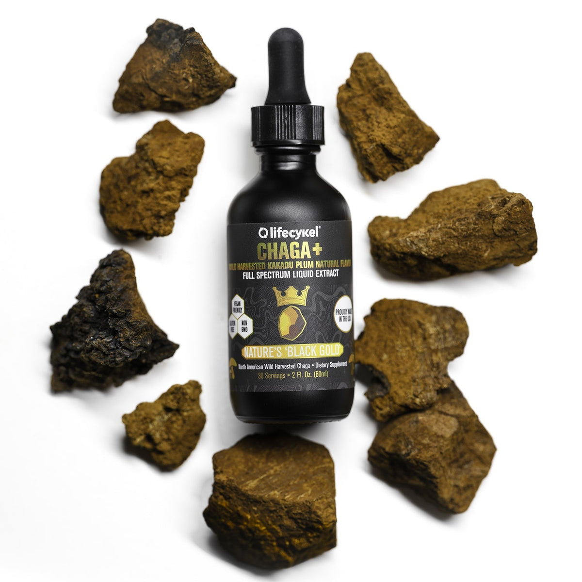 Best Chaga Supplement 2026: Antioxidant Quality Guide