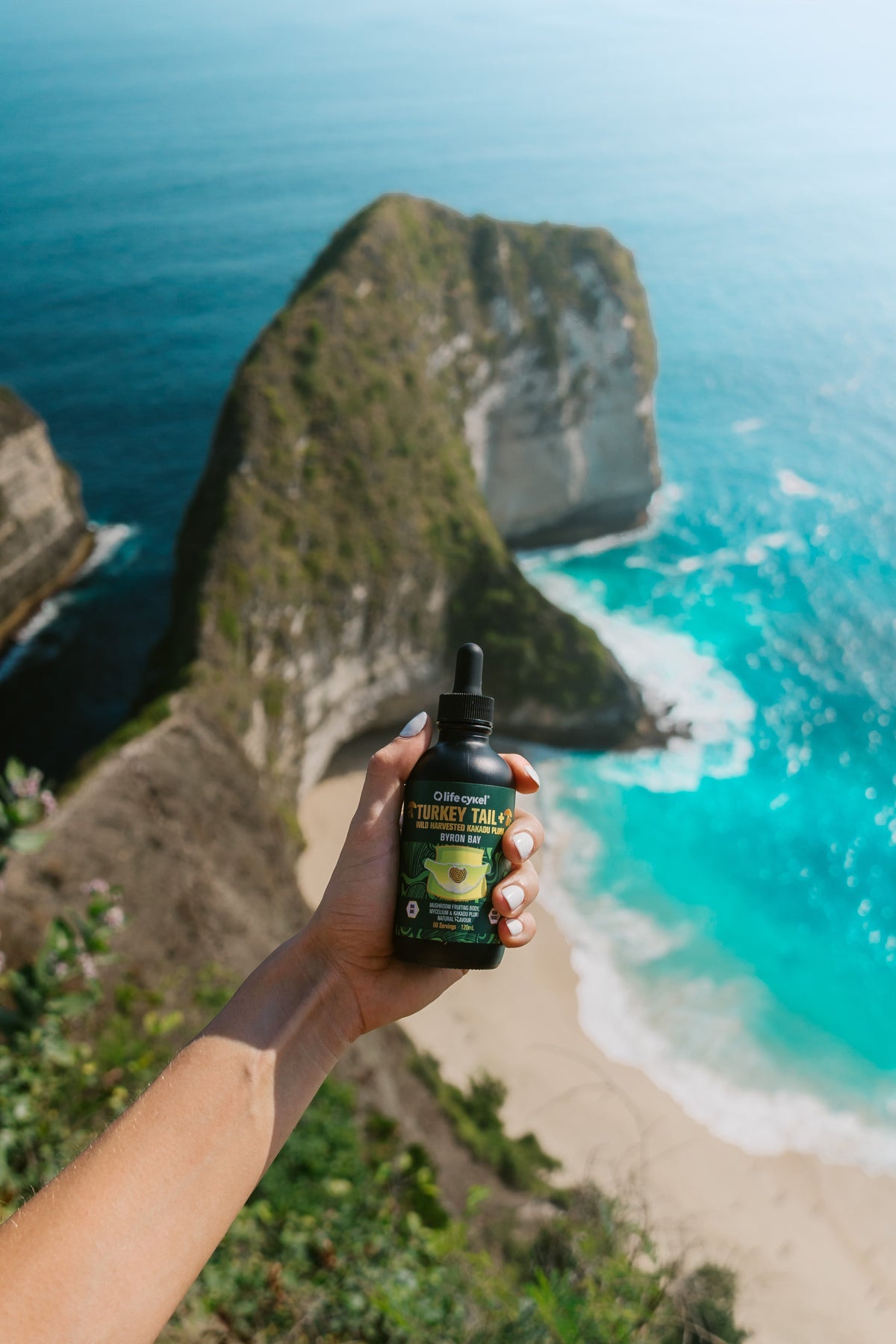 Best Time to Take Turkey Tail for Immune Support