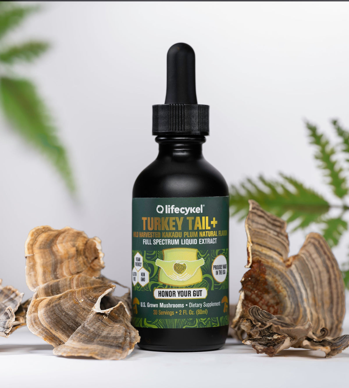 Turkey Tail Dosage Guide: How Much Should You Take a Day?