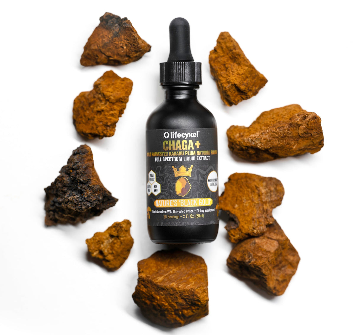 Chaga Dosage Guide: How Much Should You Take Daily?