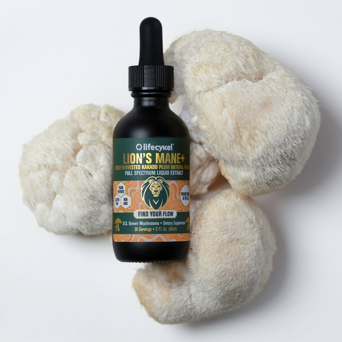 Lion's Mane Mushroom: The Complete Guide (2026)