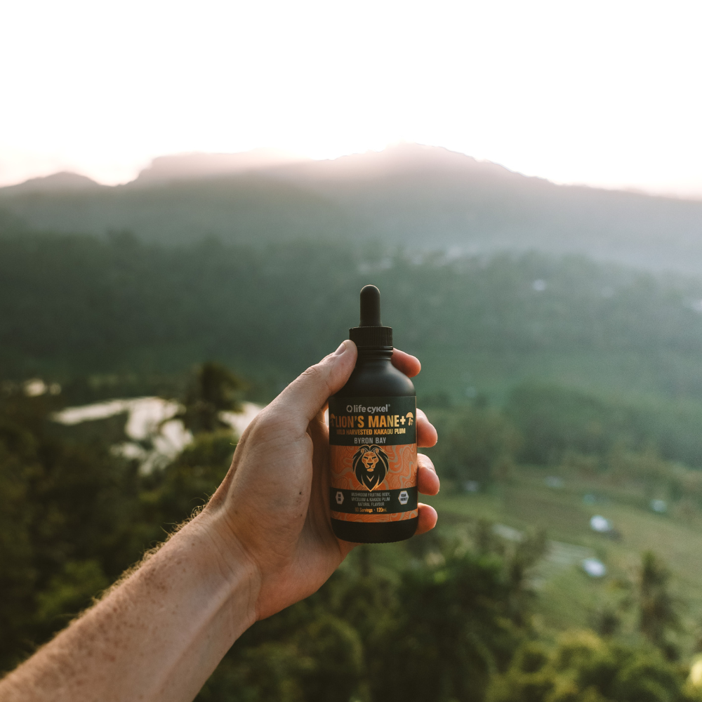Does Lion’s Mane Help With Brain Fog?