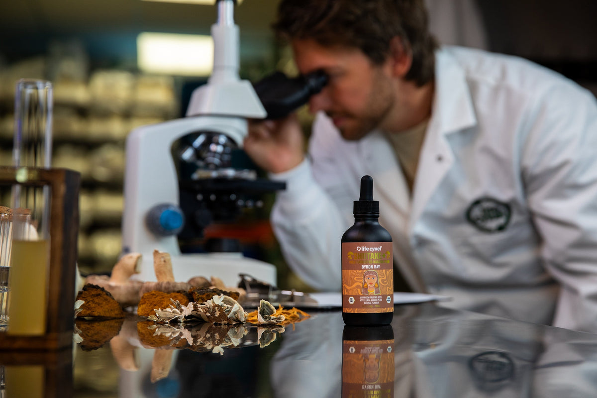 Dual Extraction Mushroom Supplements: The Science of Bioavailability