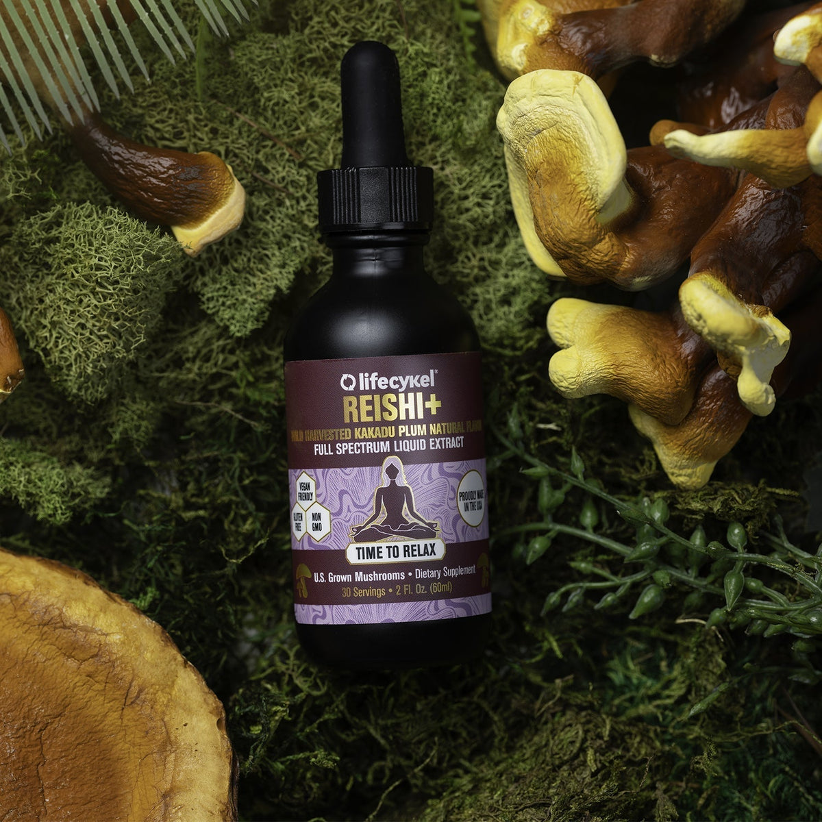 Reishi vs Melatonin for Sleep: Which Is Better?