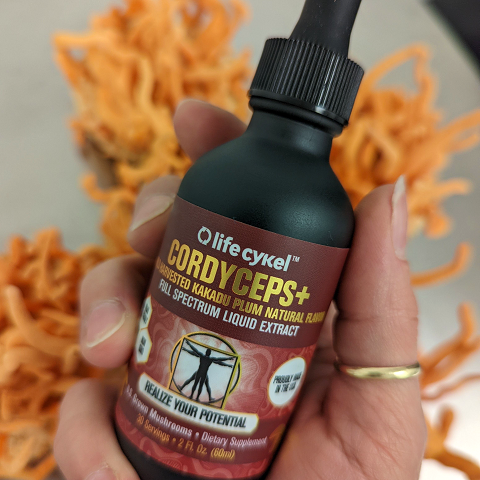 Best Cordyceps Supplement 2026: Energy and Performance Guide
