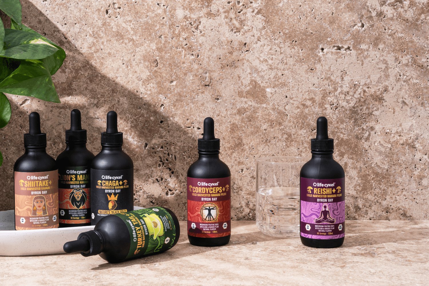 Other Mushroom Products