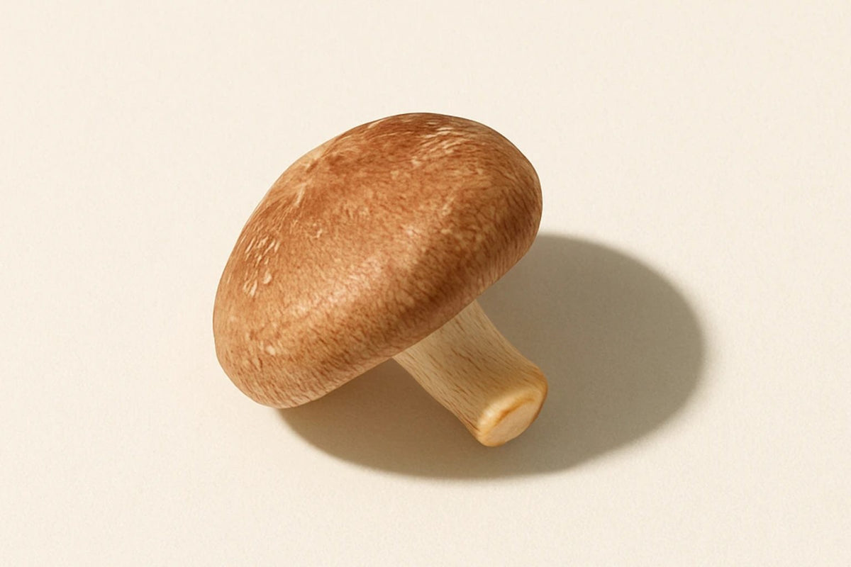 Shiitake
