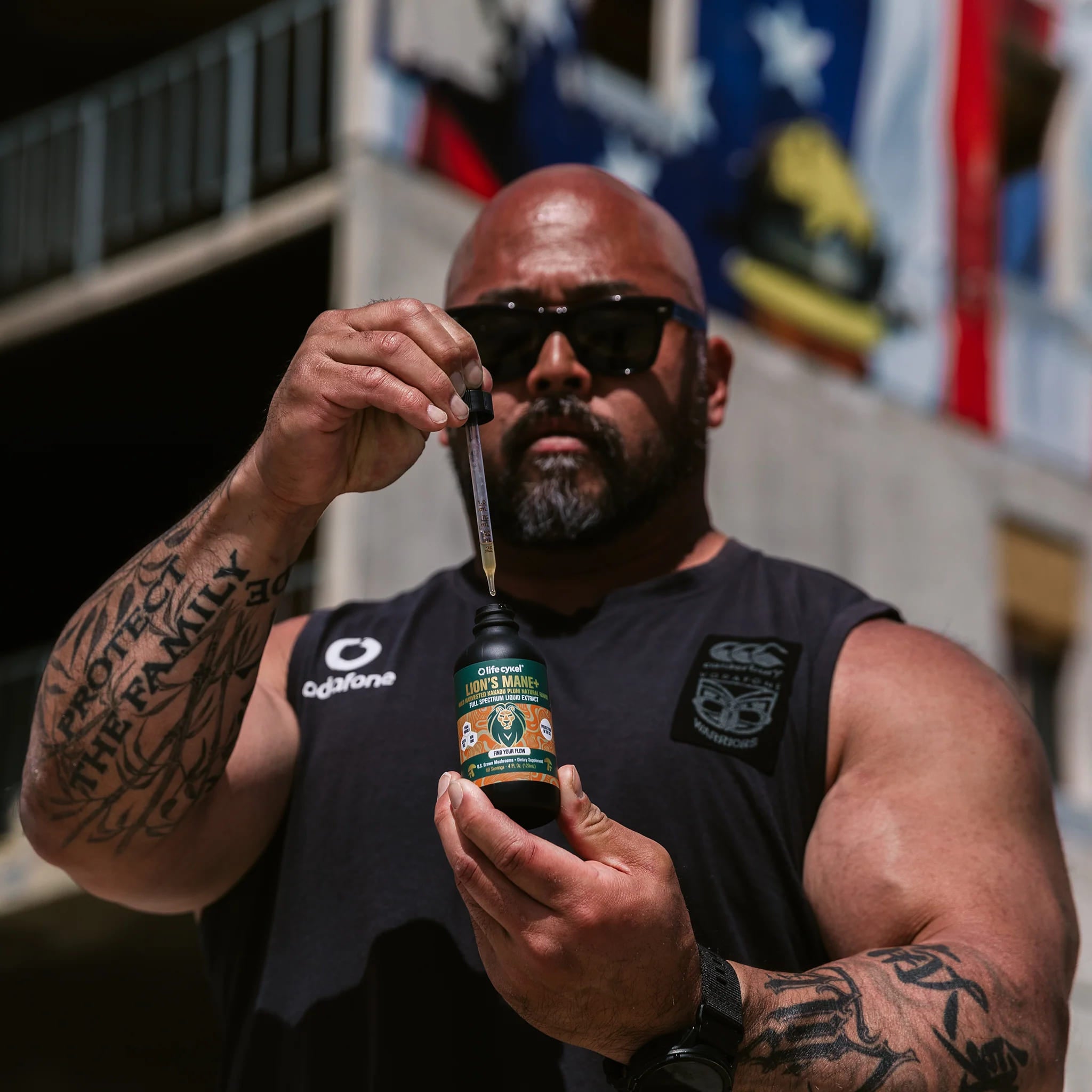 The Pride Pack - 5 x Lion's Mane