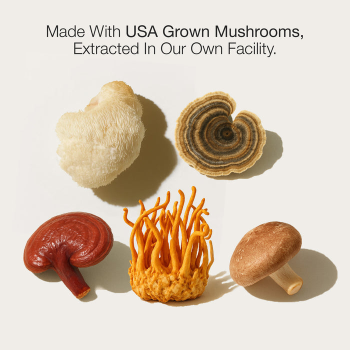 Five Life Cykel mushroom extracts laid out