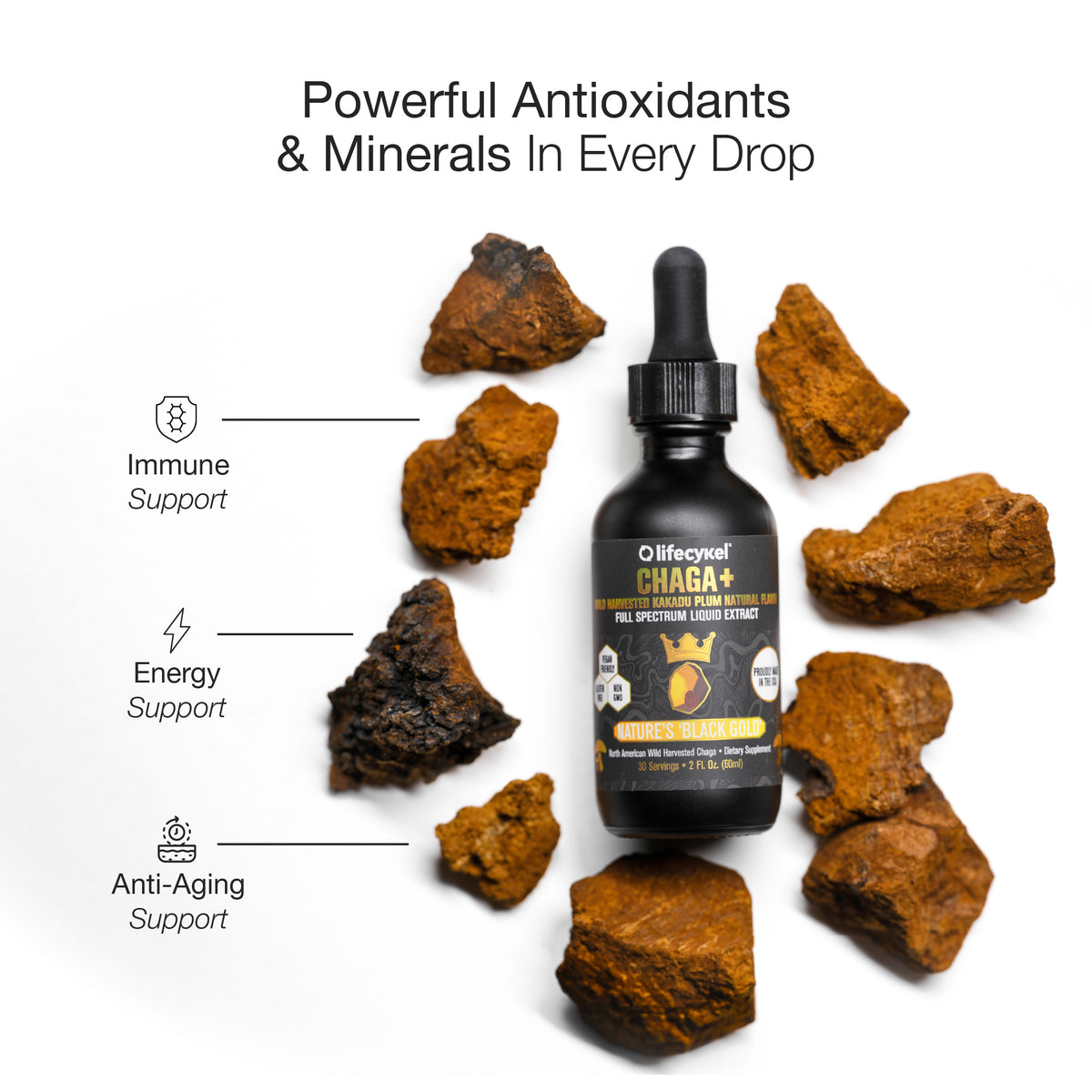 Lifecykel Chaga mushroom extract supplement bottle with chaga mushrooms on a white background