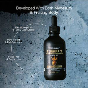 Lifecykel Chaga+ mushroom extract supplement bottle on a textured gray background with text highlighting features.