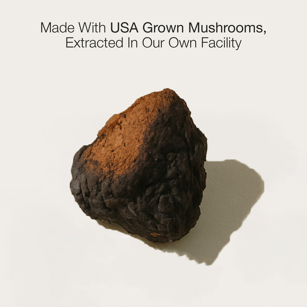 Chaga mushroom on a white background with text about USA grown mushrooms.
