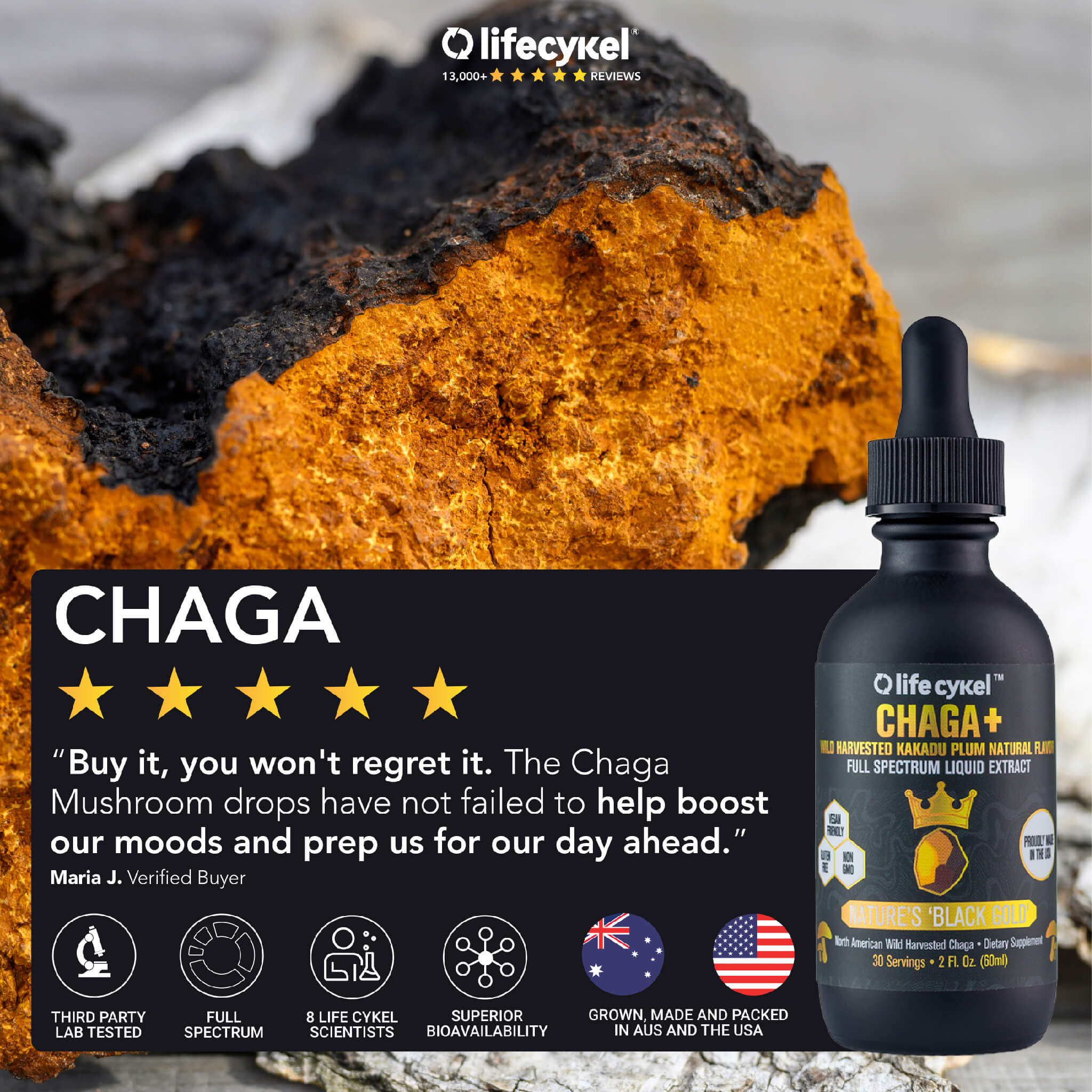 Chaga+ Liquid Double Extract