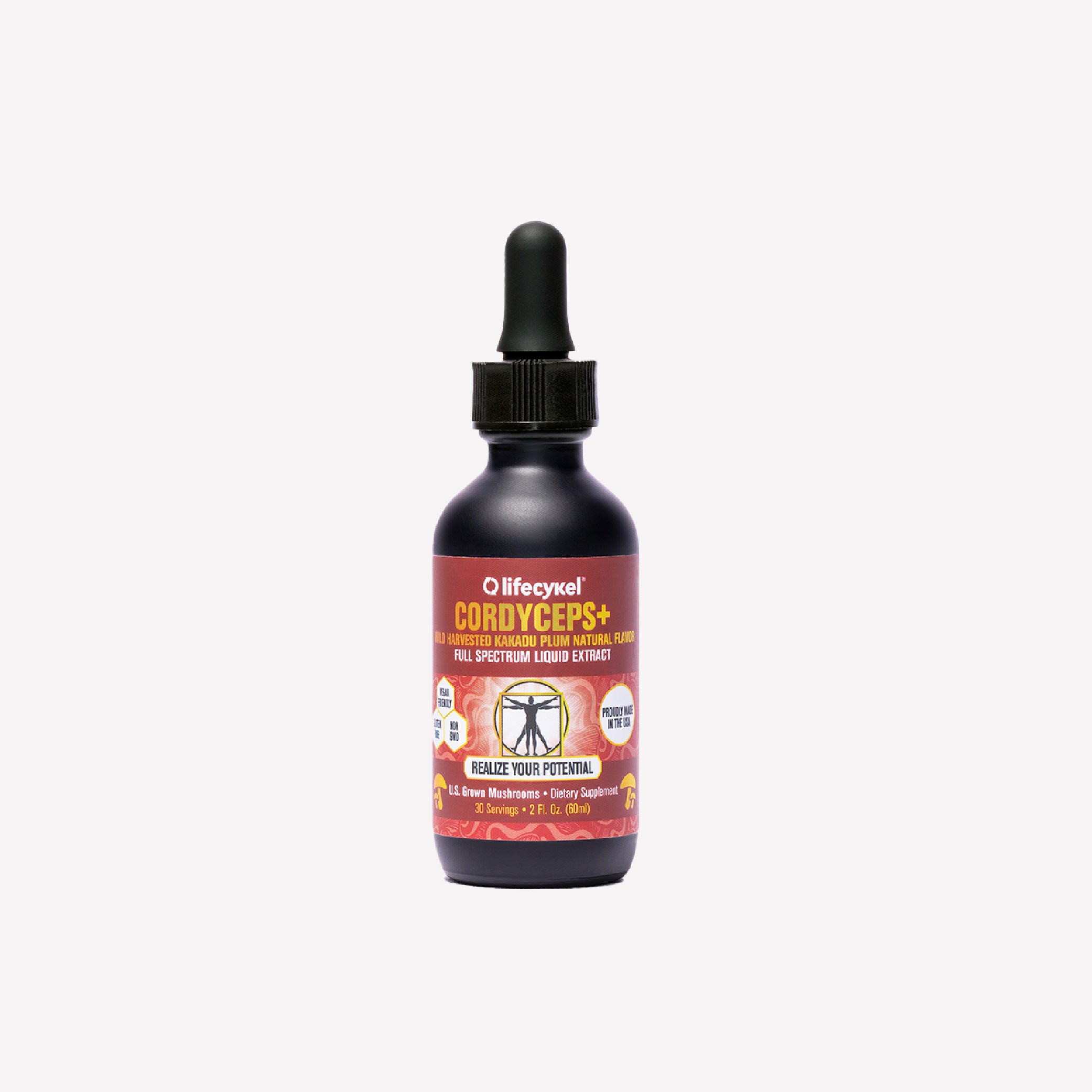 Cordyceps Liquid Extract for Enhanced Energy & Vitality – Lifecykel US
