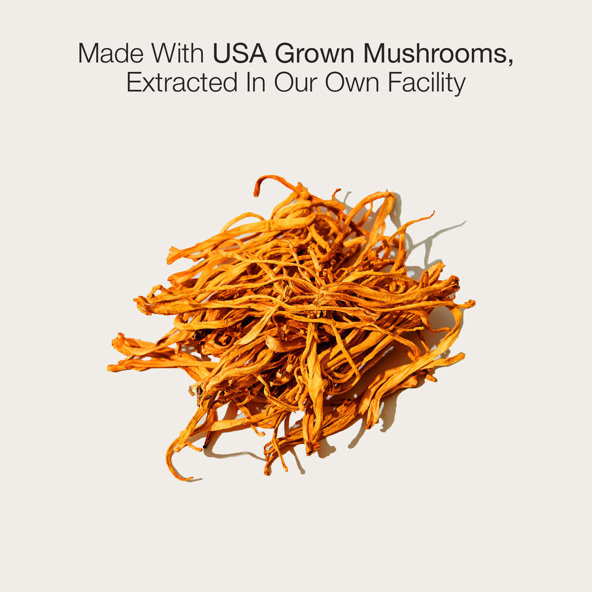Dried Cordyceps mushrooms on a light gray background with text about USA grown mushrooms.