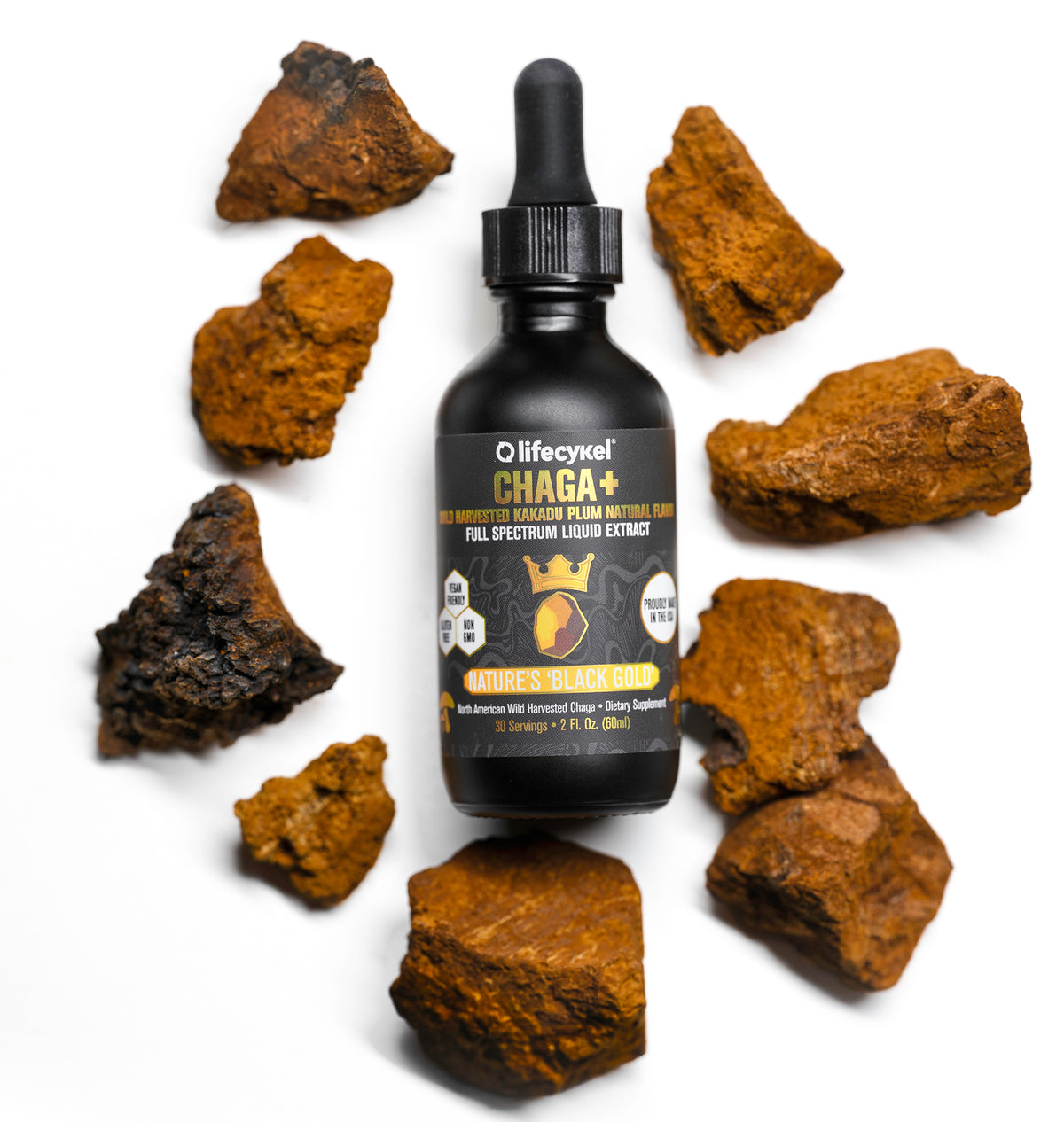 Chaga Lab Reports