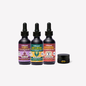Three Lifecykel mushroom extracts  dropper bottles with colorful labels and a small black Shilajit container on a white background.