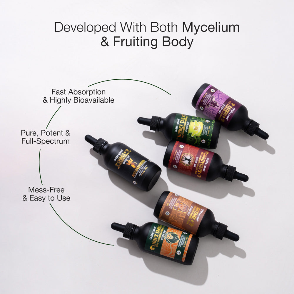 Collection of Lifecykel mushroom extracts bottles with labels on a white background, featuring text about mycelium and fruiting body.