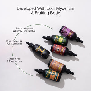 Collection of Lifecykel mushroom extracts bottles with labels on a white background, featuring text about mycelium and fruiting body.