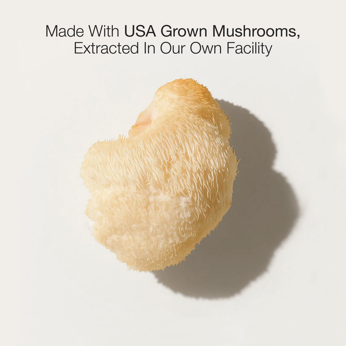 Lion's Mane mushroom on a white background with text about USA grown mushrooms.