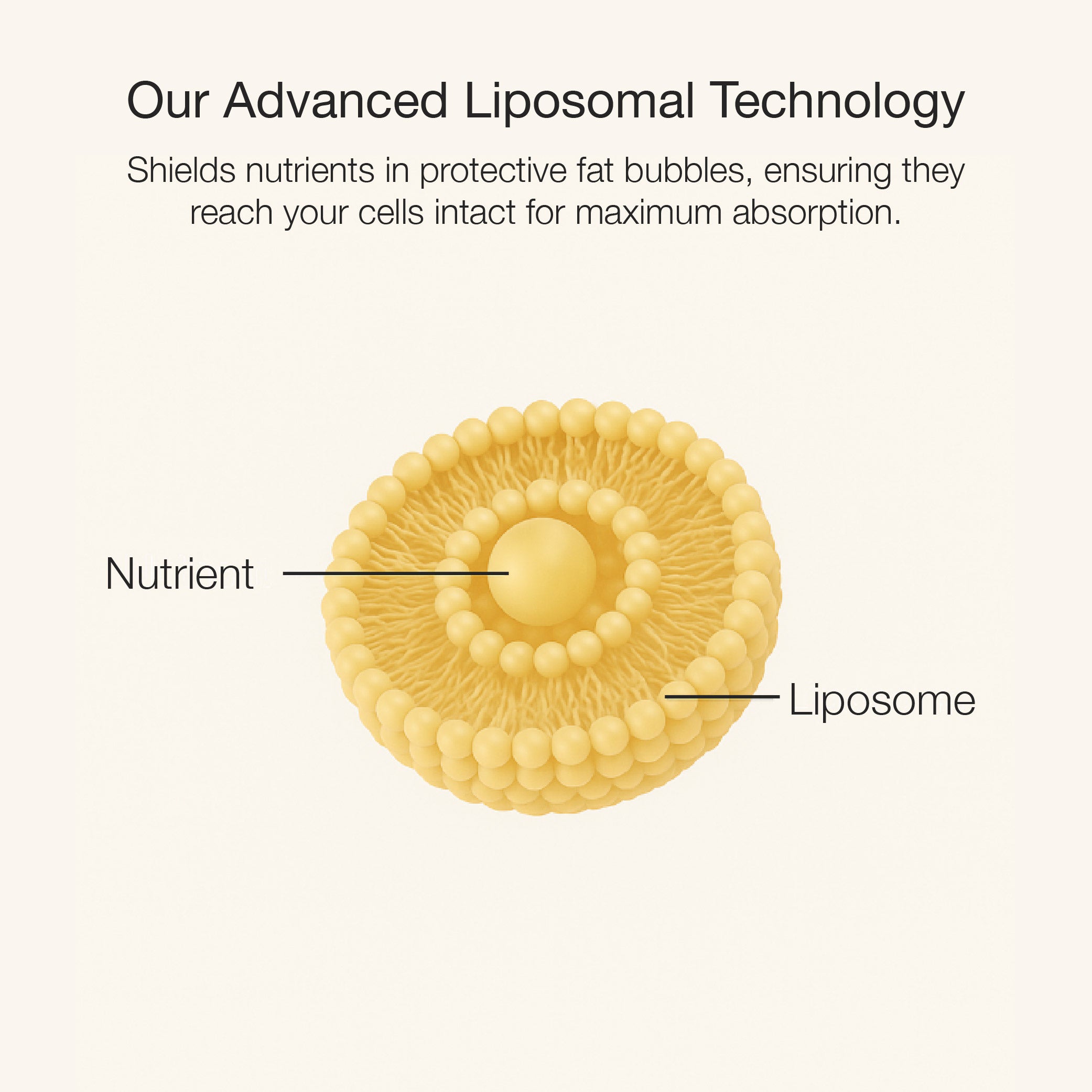 Liposomal Magnesium