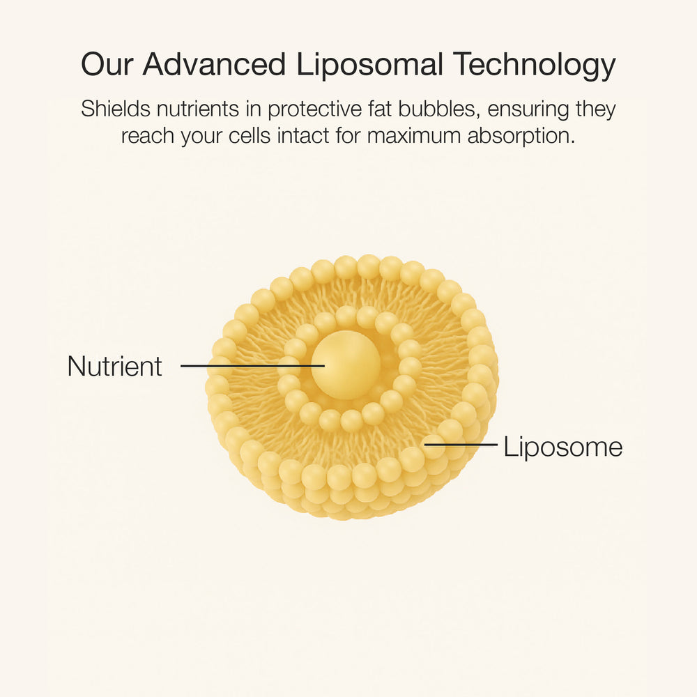Diagram of an advanced liposomal technology with a liposome and nutrient labeled on a white background.