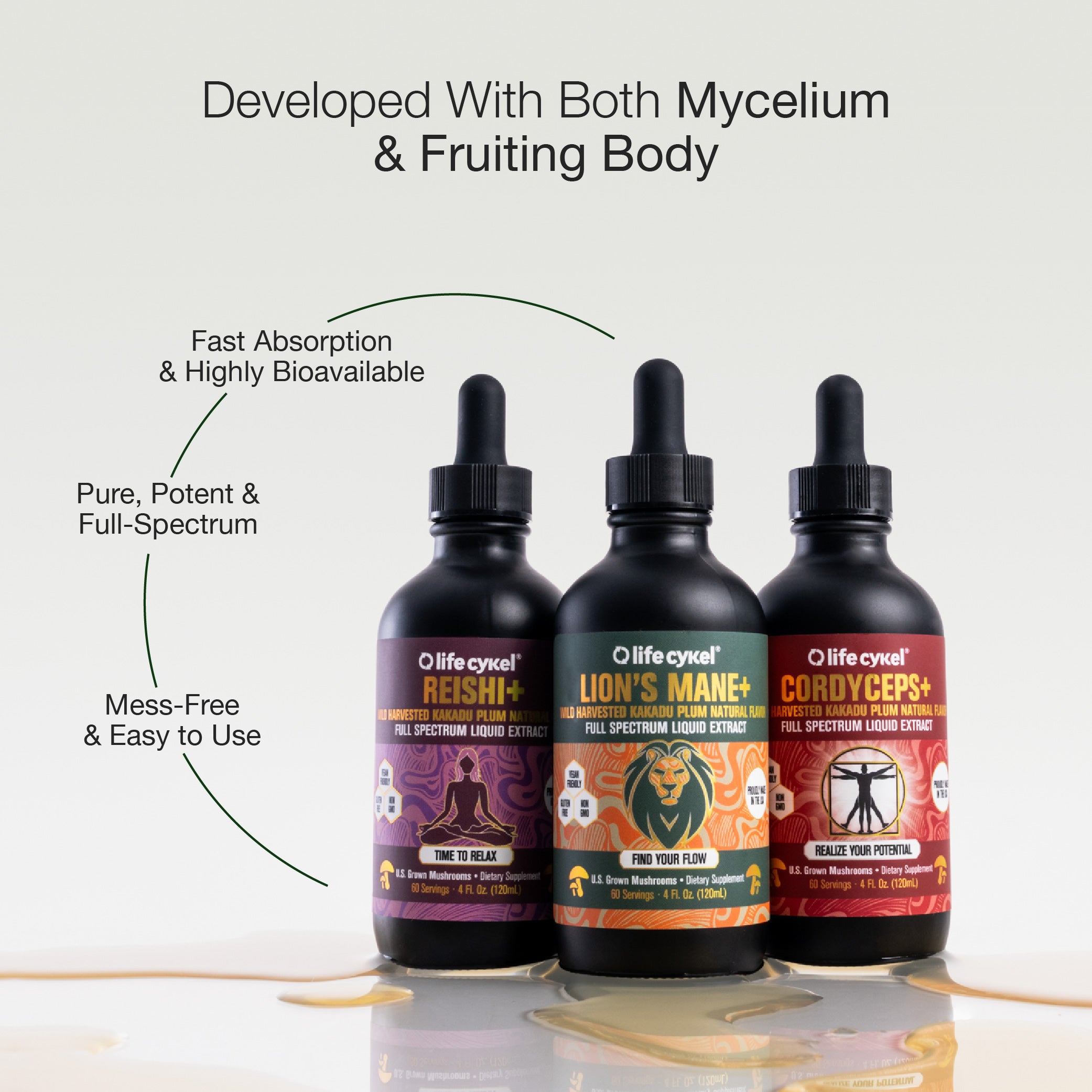 Three Lifecykel mushroom extracts bottles with dropper caps labeled 'Reishi+', 'Lion's Mane+', and 'Cordyceps+' on a reflective surface.