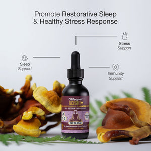 Lifecykel Reishi+ mushroom extract supplements bottle with mushrooms and text on a light background
