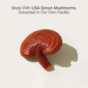 Mushroom on a white background with text about USA grown mushrooms.