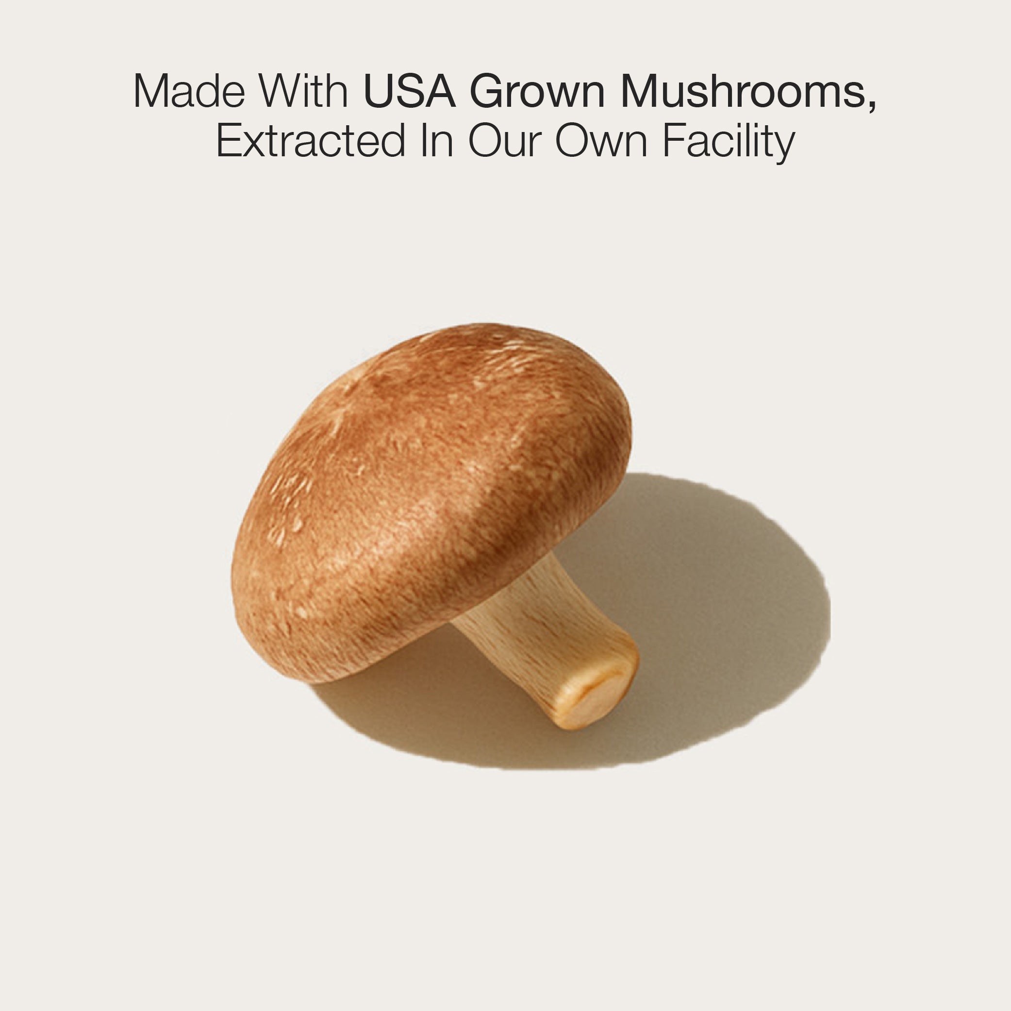 Shiitake Mushroom Extract for Enhanced Hair, Skin & Nails