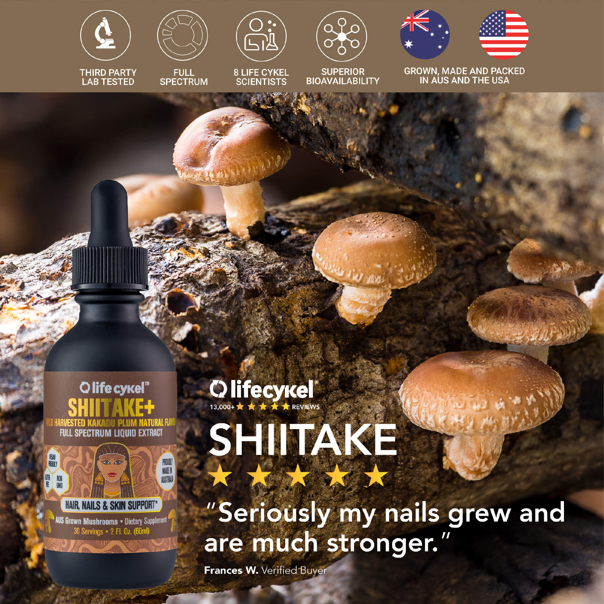 Shiitake+ Liquid Double Extract