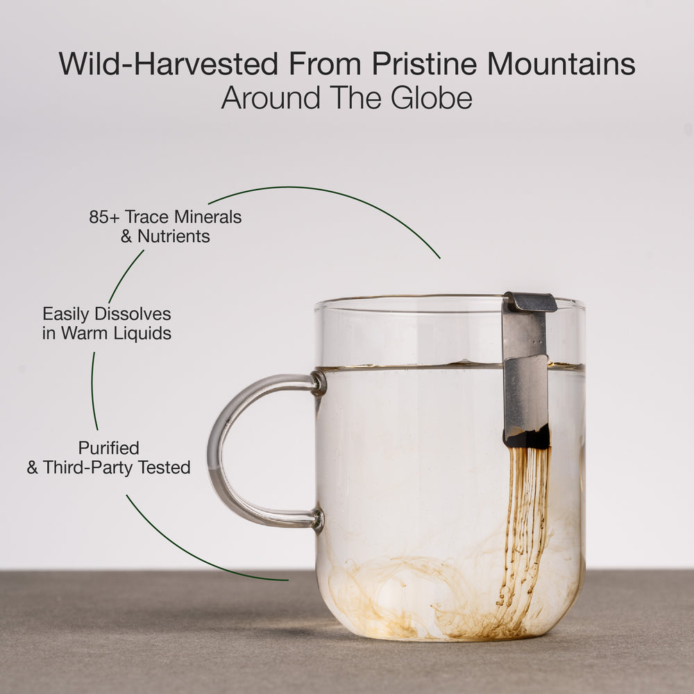 Glass mug with Shilajit infuser on a neutral background, featuring text about water quality.