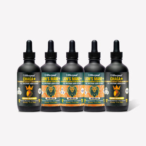 Five bottles of Lifecykel mushroom extracts supplements on a white background