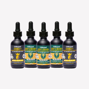 Five bottles of Lifecykel mushroom extracts supplements on a white background
