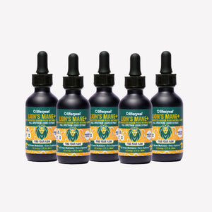 Five bottles of Lifecykel Lion's Mane+ mushroom extract supplement on a white background
