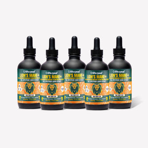 Five bottles of Lifecykel Lion's Mane+ mushroom extract supplement on a white background