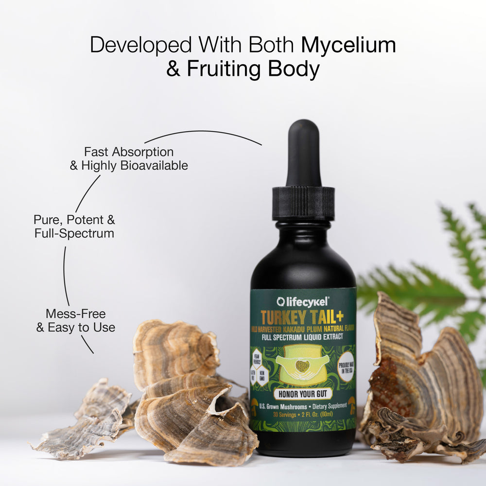 Bottle of Lifecykel Turkey Tail mushroom extracts supplements with dried turkey tail mushrooms on a white background