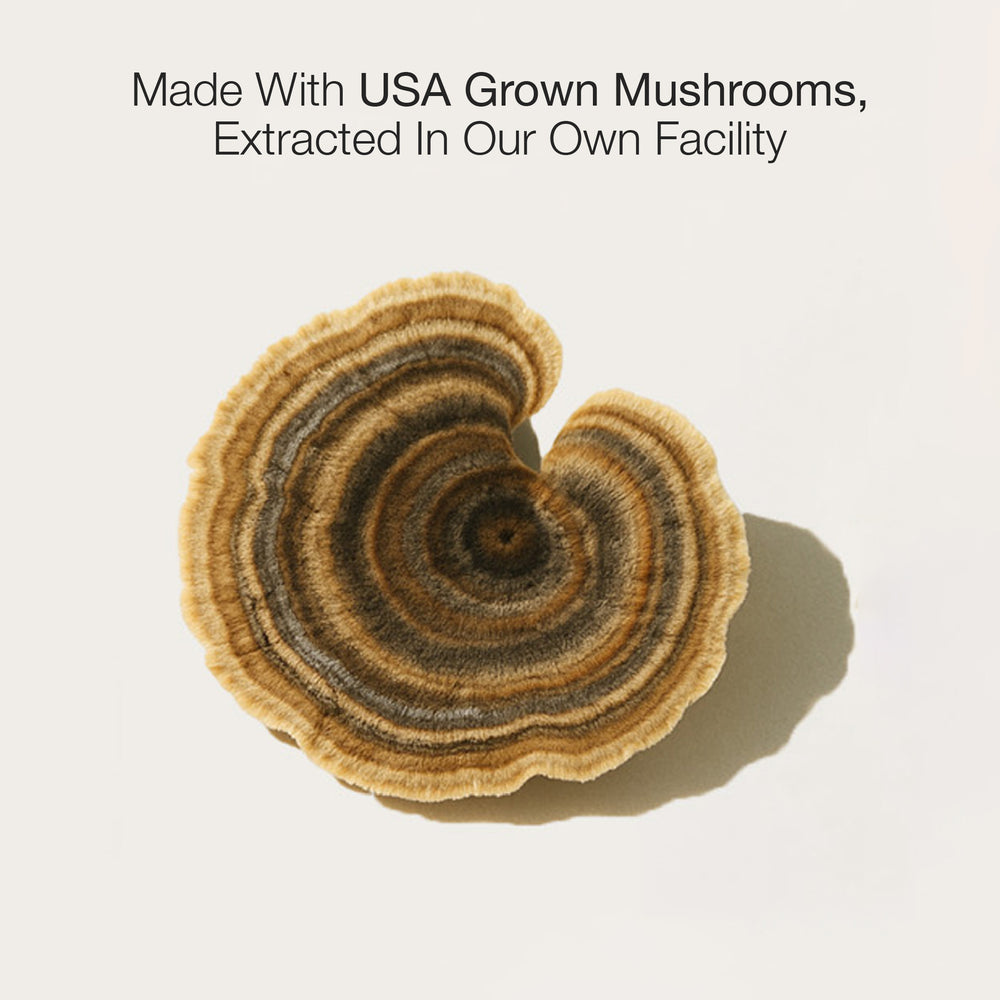 Turkey Tail mushroom on a light background with text about USA grown mushrooms.