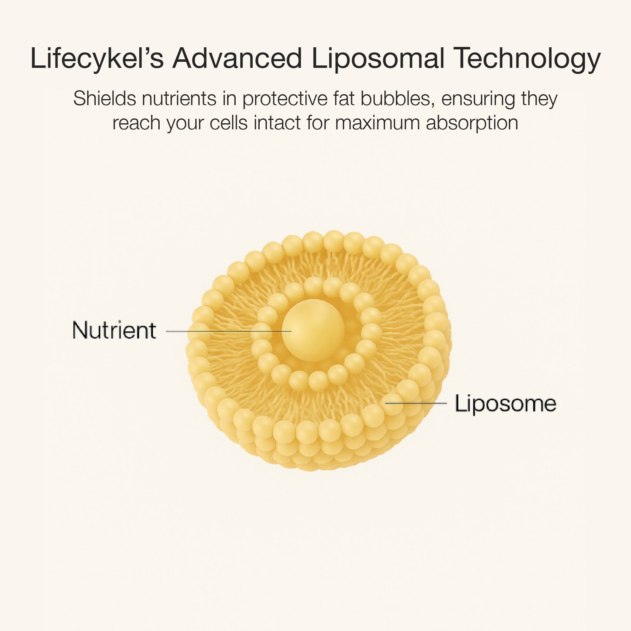Liposomal NR & NAD+