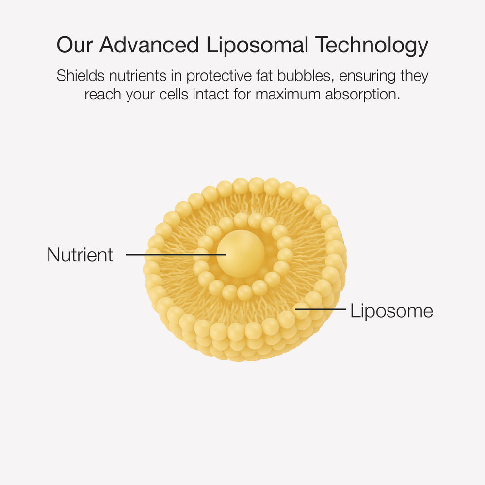 Diagram of an advanced liposomal technology with a liposome and nutrient labeled on a white background.