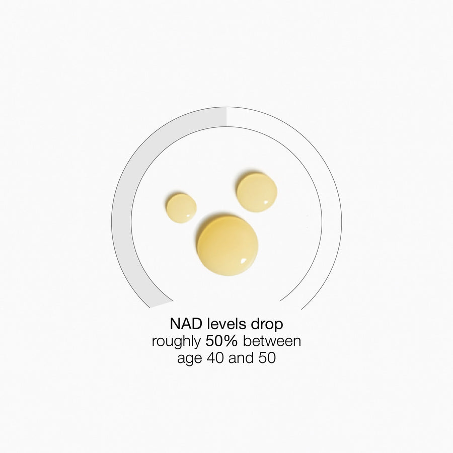 Why is NAD+ so important?