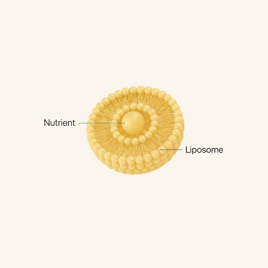 Liposomal Technology