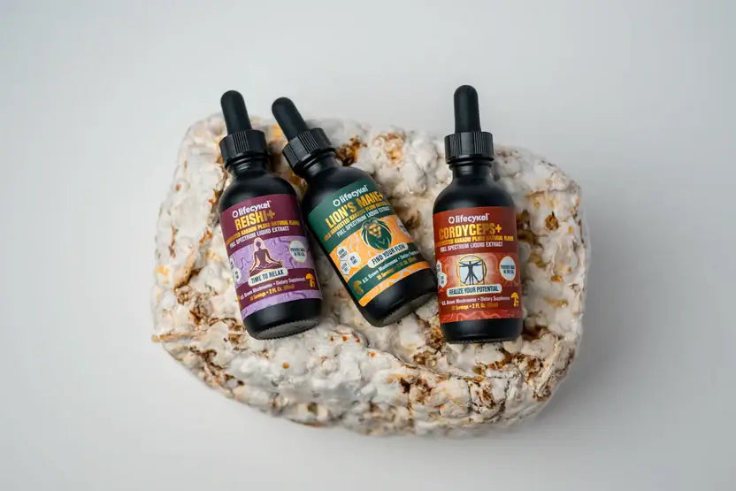 bundle from us.lifecykel.com