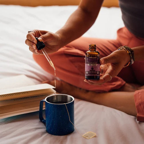 Life Cykel Mushrooms are our future — Life Cykel US