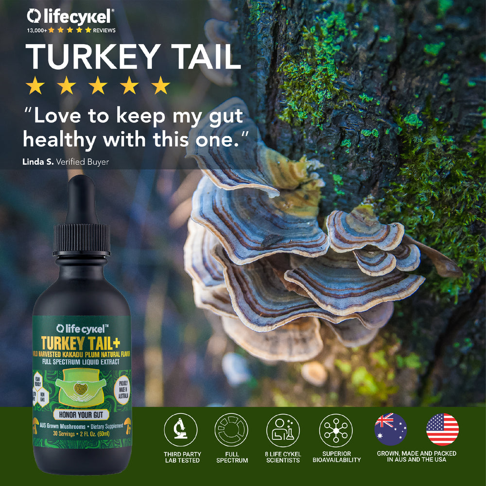 Turkey Tail+ Liquid Double Extract